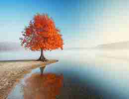 dockerfile脚​本﻿